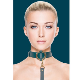 OUCH HALO COLLAR WITH LEASH VERDE