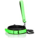 OUCH COLLAR CON NEoN GLOW IN THE DARK